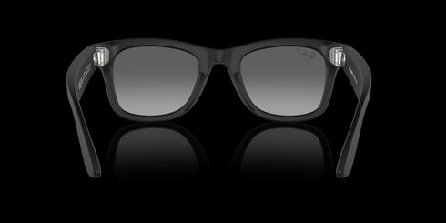 RAY-BAN Wayfarer Matte Black W/polar Accessories